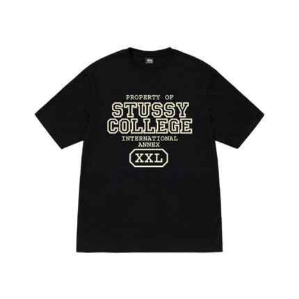 Propriété DE Stussy T Shirt