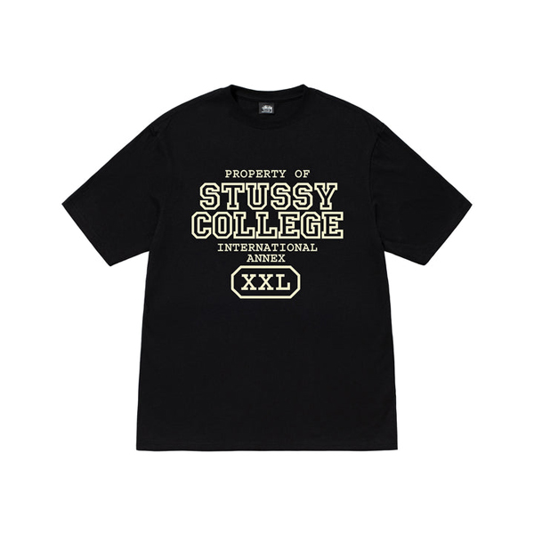 Propriété DE Stussy T Shirt